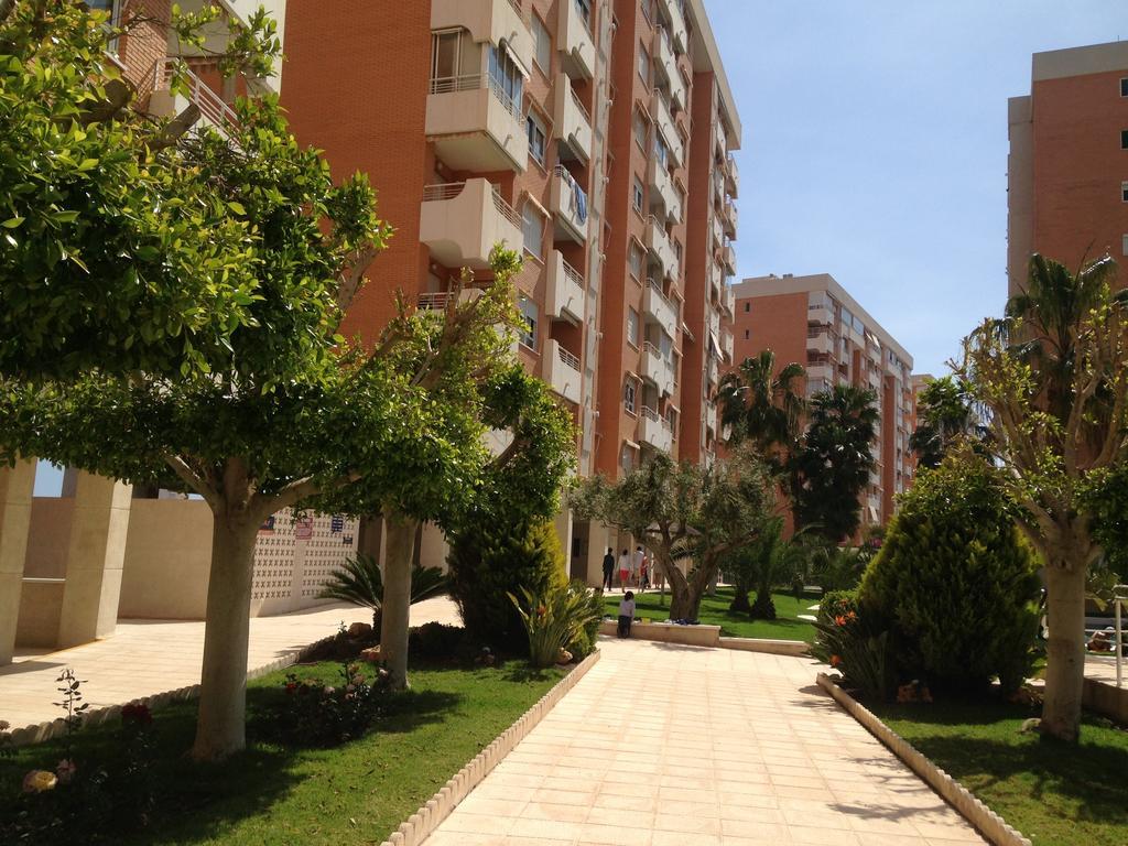 Apartment Playa San Juan Alicante Værelse billede