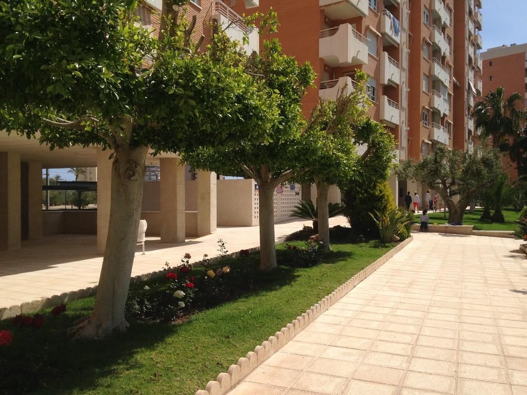 Apartment Playa San Juan Alicante Værelse billede